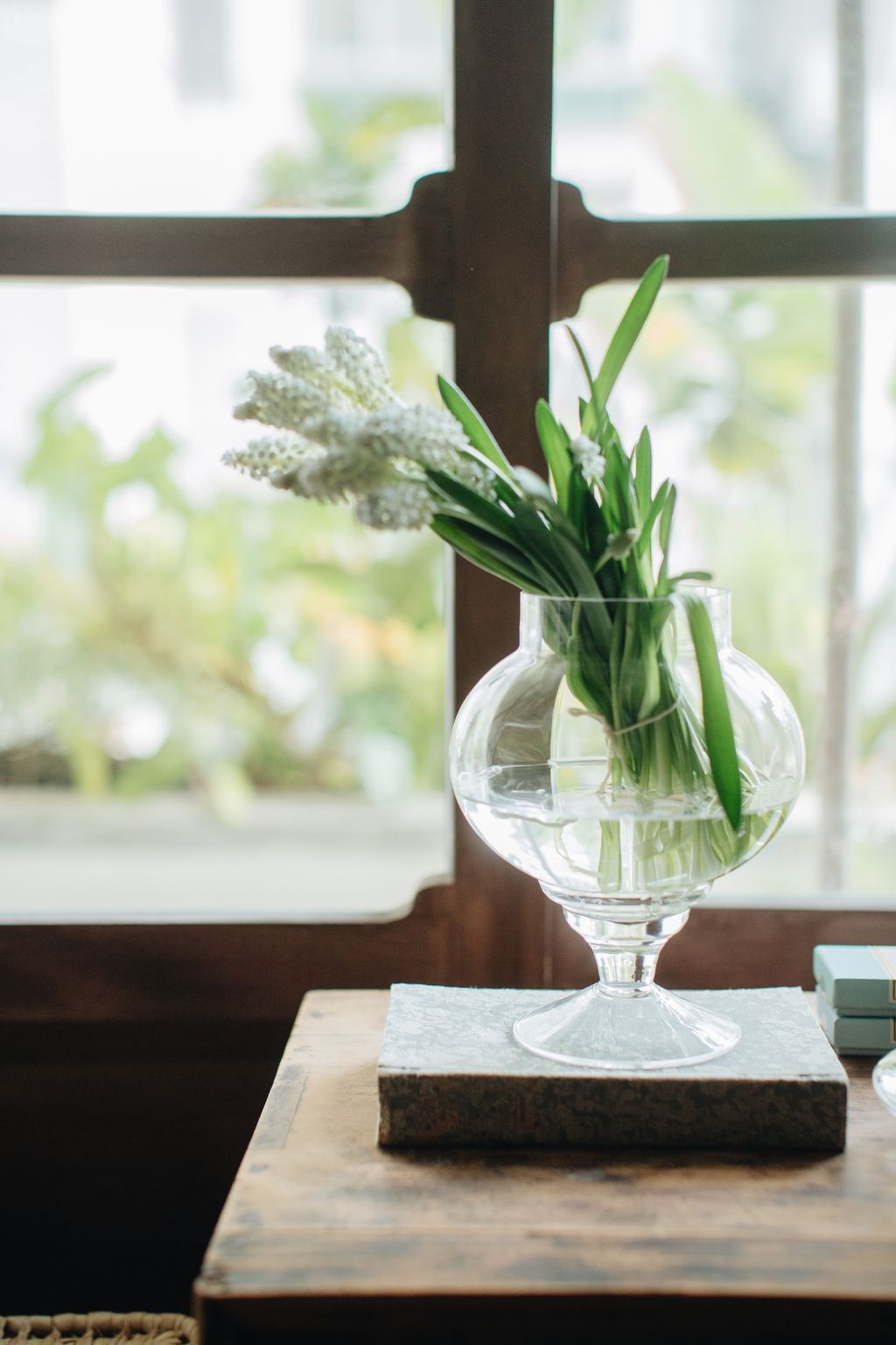 20260317-Sunshinephoto-6