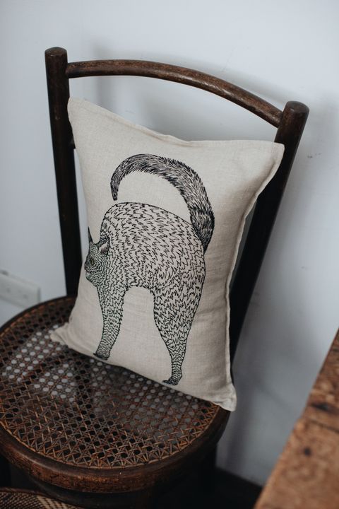 20260317-Sunshinephoto-192