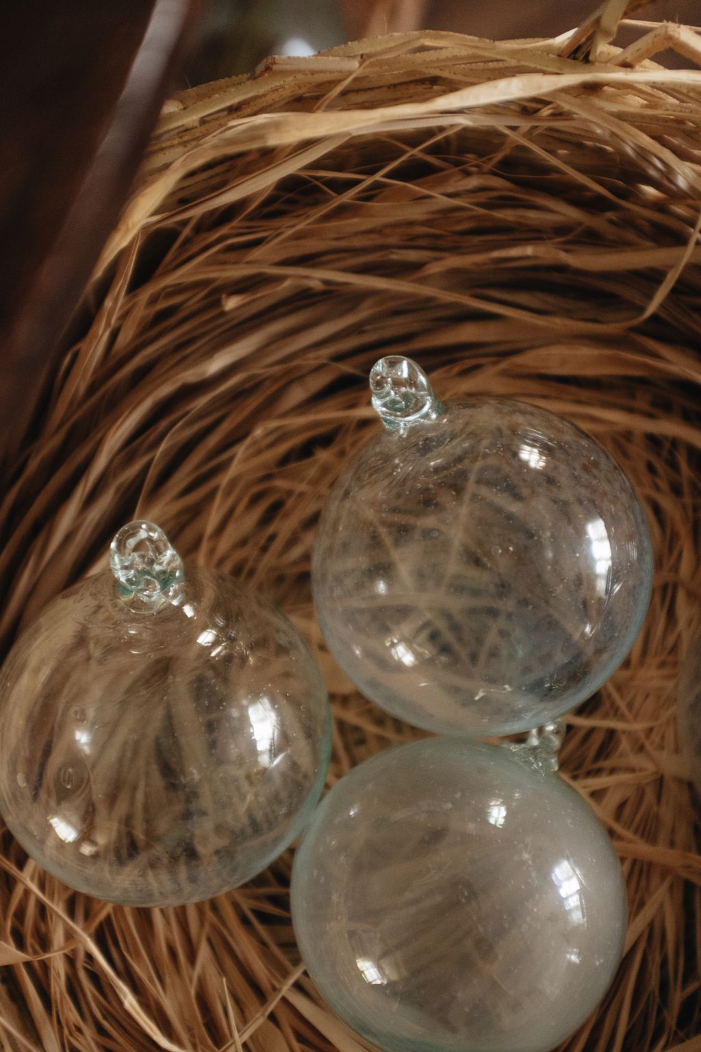 20260414-Sunshinephoto-unpetitpeu-47