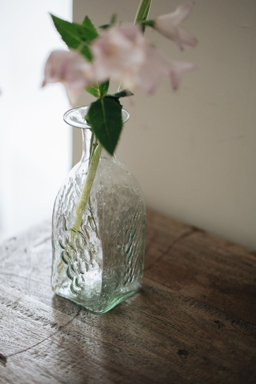 20260414-Sunshinephoto-unpetitpeu-102