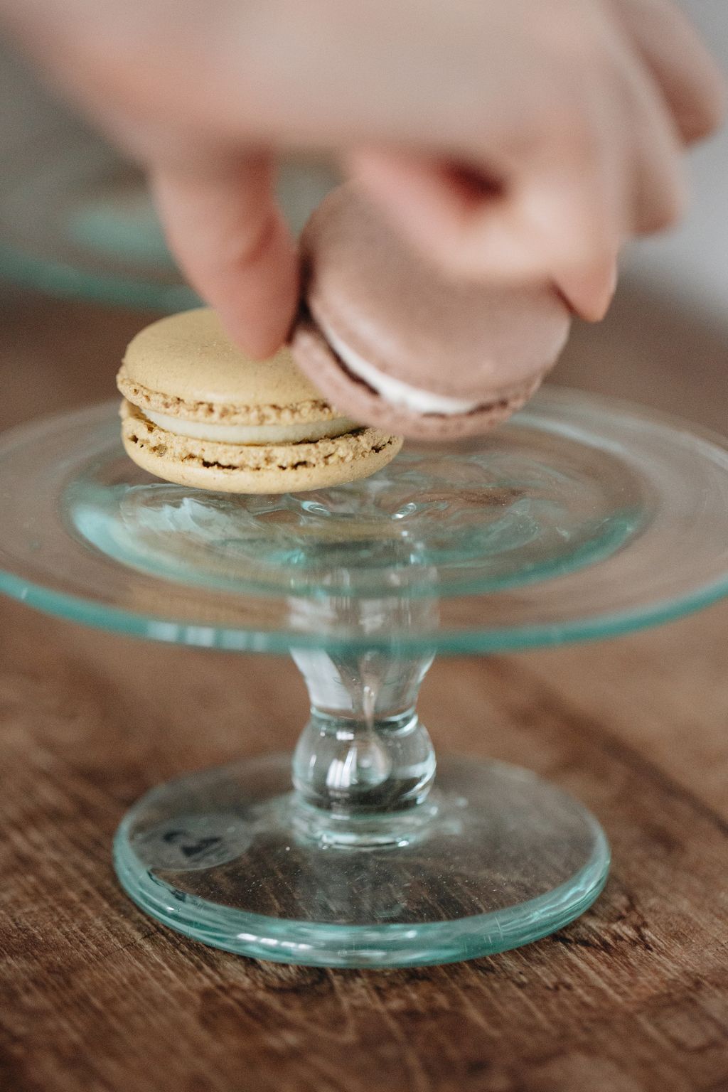 20260414-Sunshinephoto-unpetitpeu-95