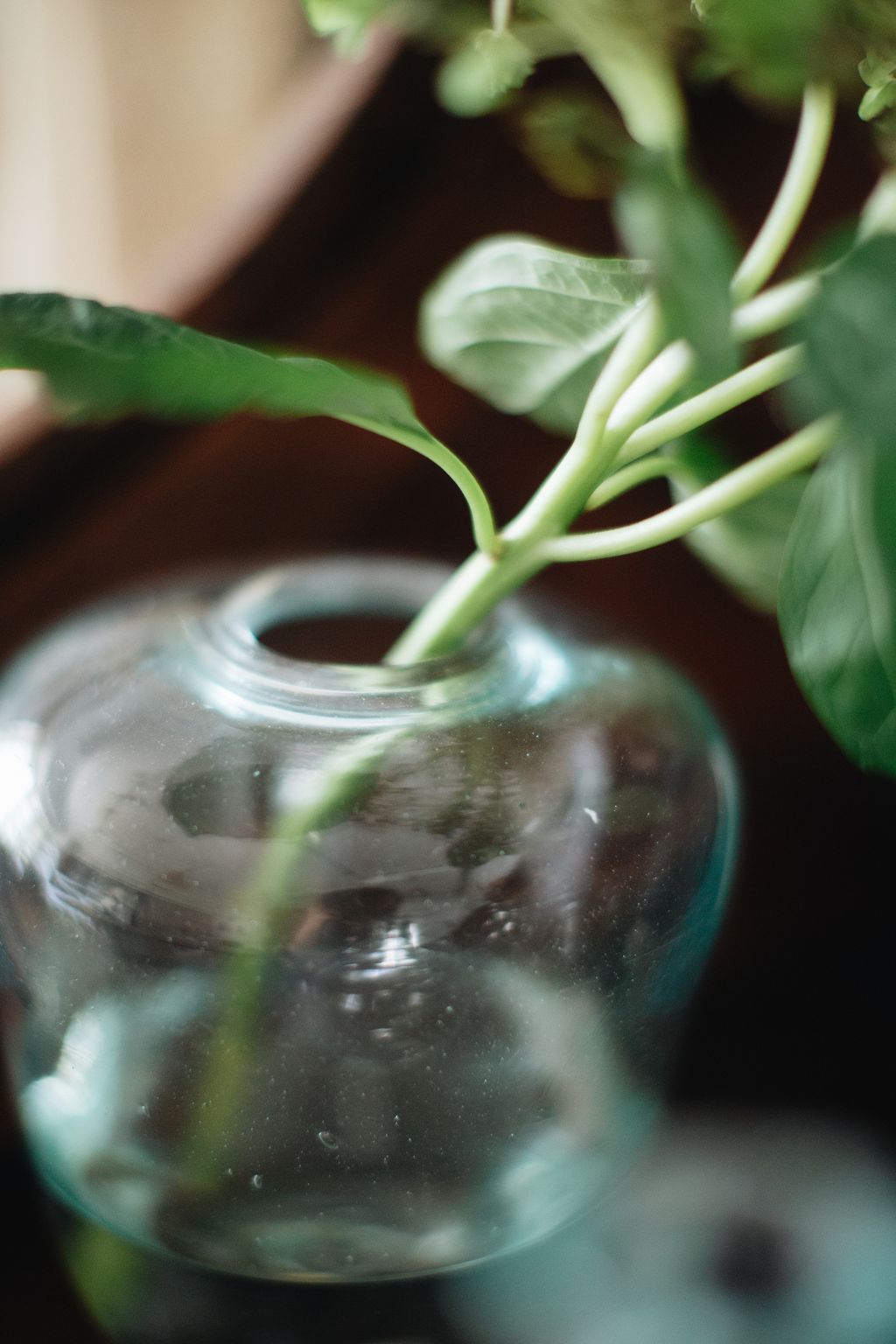 20260414-Sunshinephoto-unpetitpeu-14