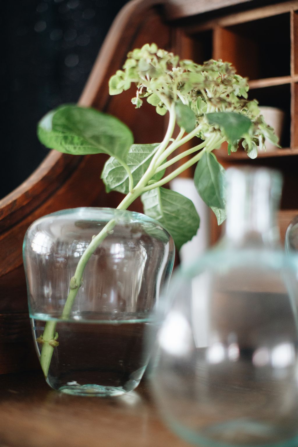 20260414-Sunshinephoto-unpetitpeu-13