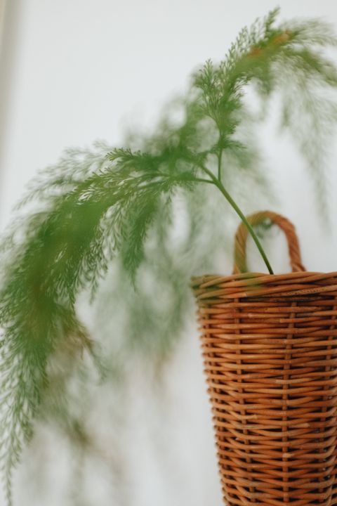 20251016-Sunshinephoto -126