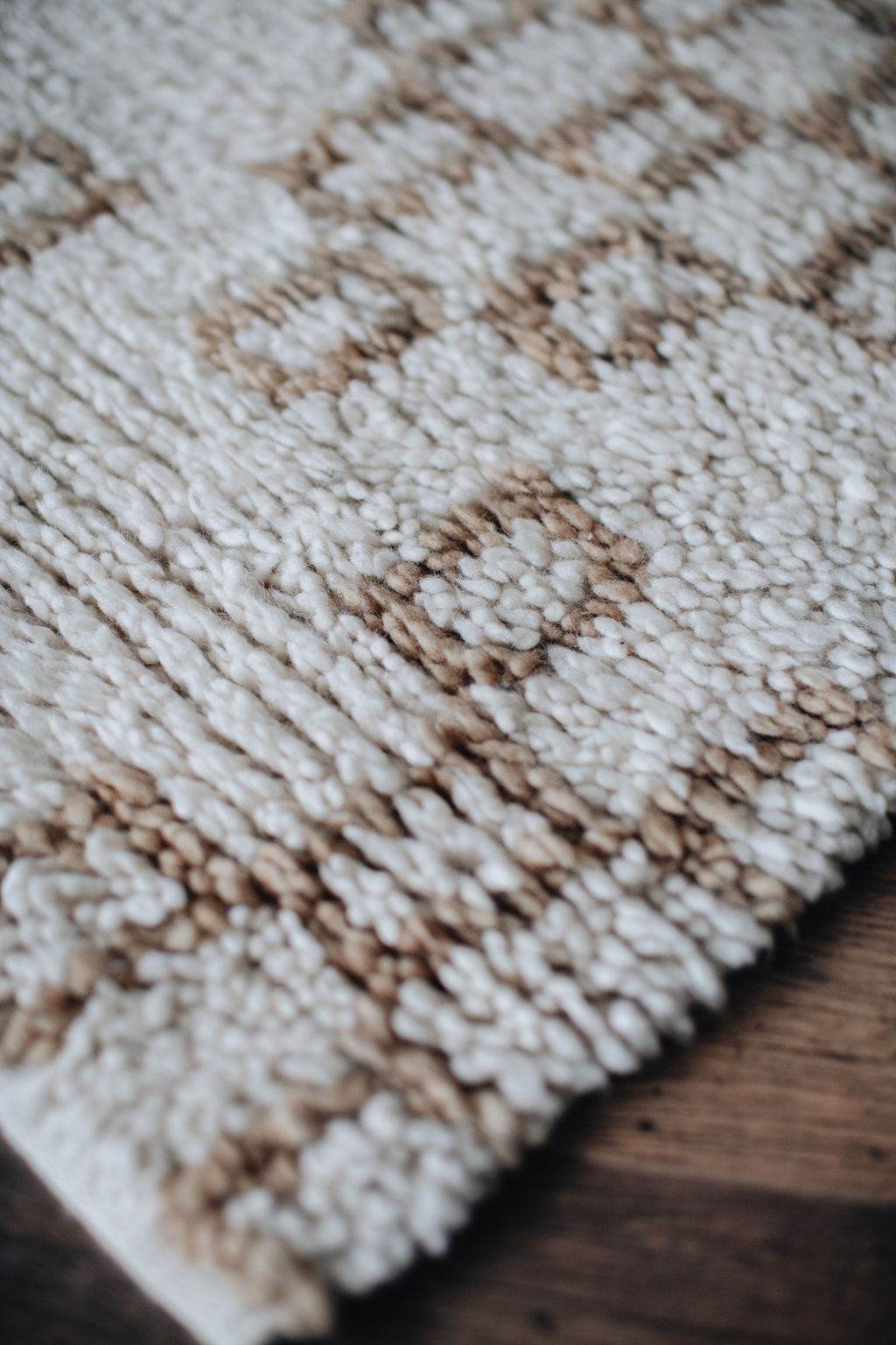 20251118-Sunshinephoto-unpetitpeu-14