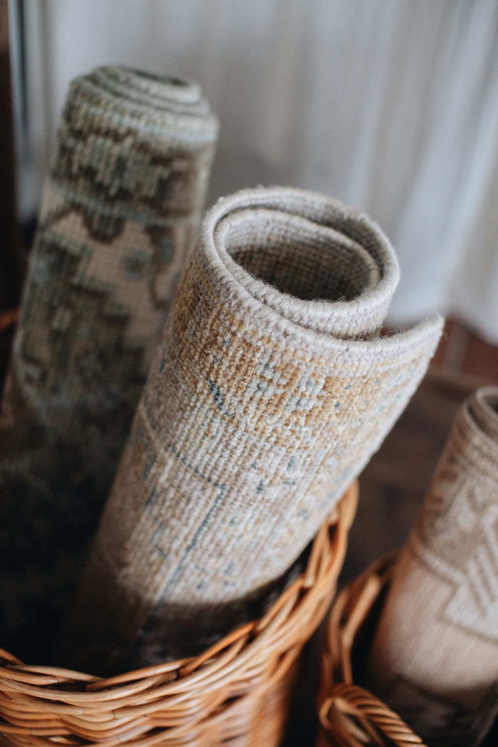 20251118-Sunshinephoto-unpetitpeu-2