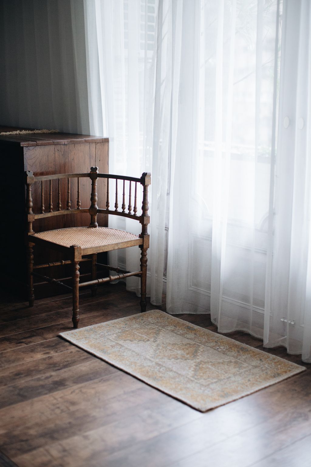 20251118-Sunshinephoto-unpetitpeu-39