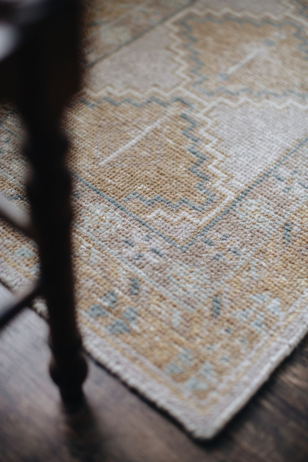 20251118-Sunshinephoto-unpetitpeu-32