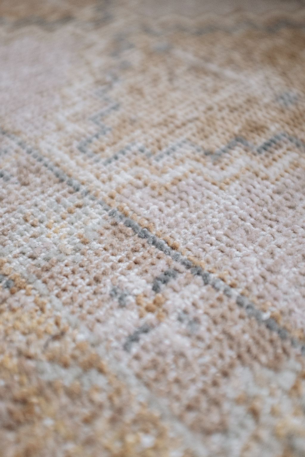 20251118-Sunshinephoto-unpetitpeu-37