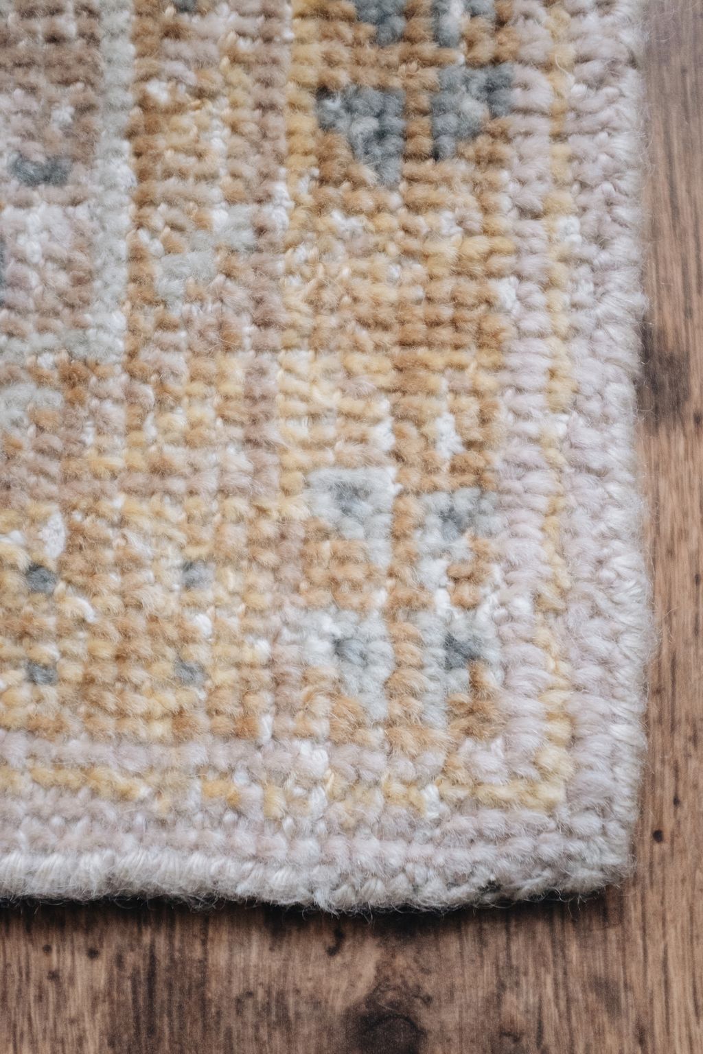 20251118-Sunshinephoto-unpetitpeu-38