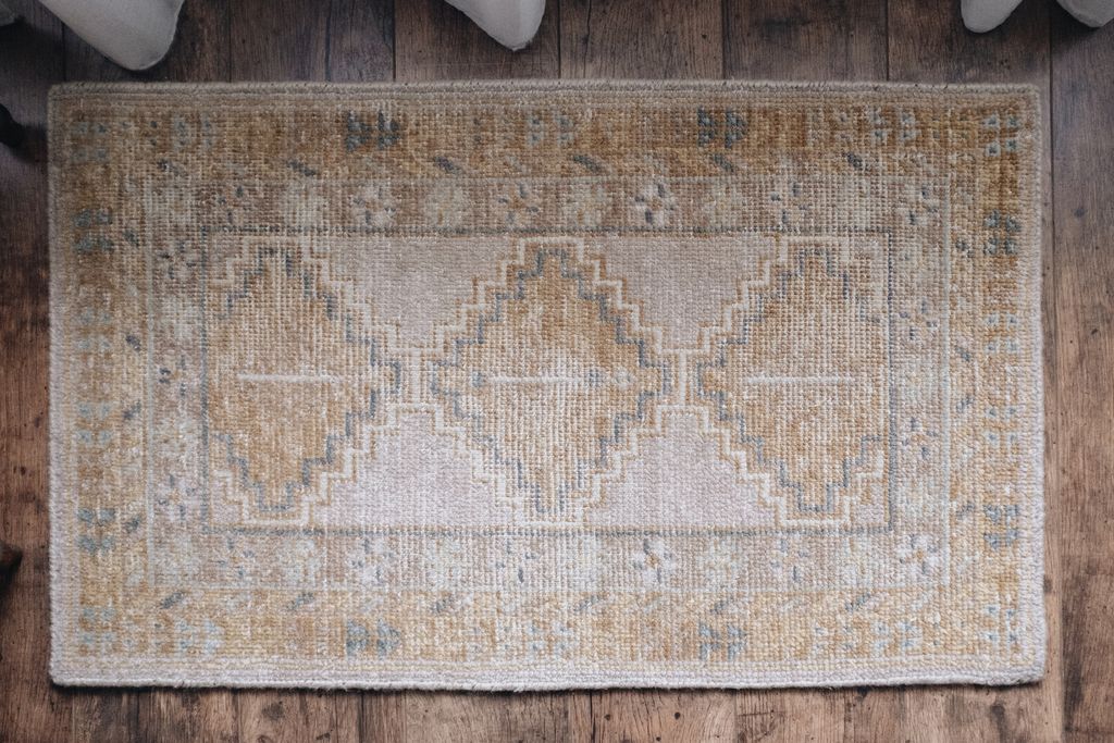 20251118-Sunshinephoto-unpetitpeu-36