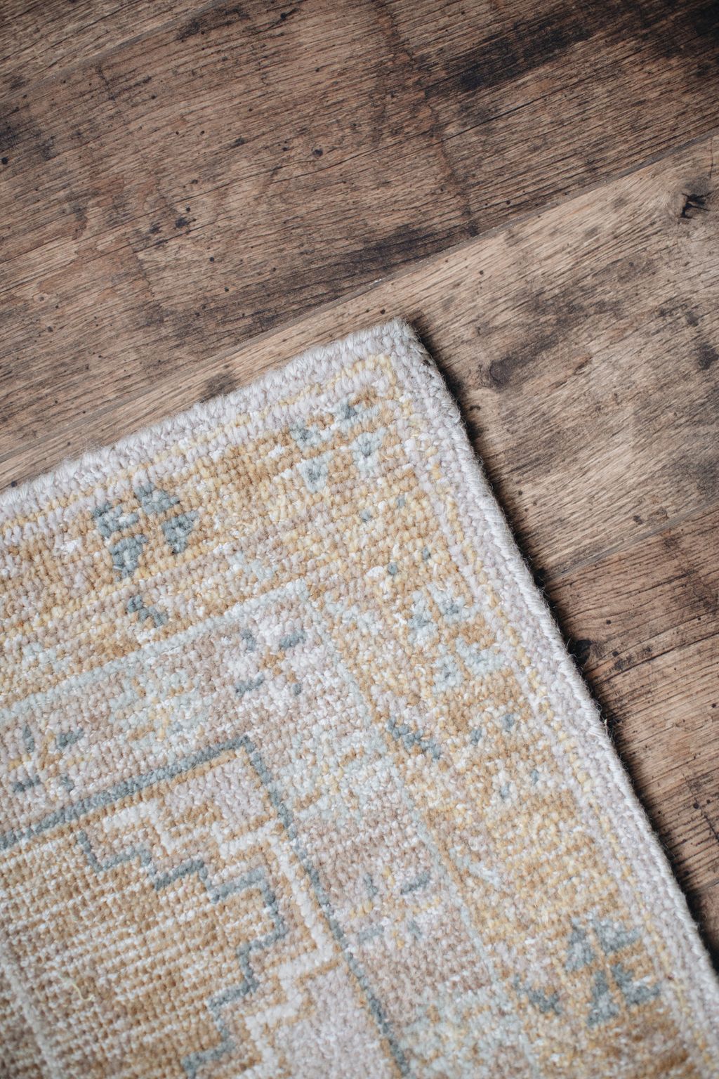 20251118-Sunshinephoto-unpetitpeu-34