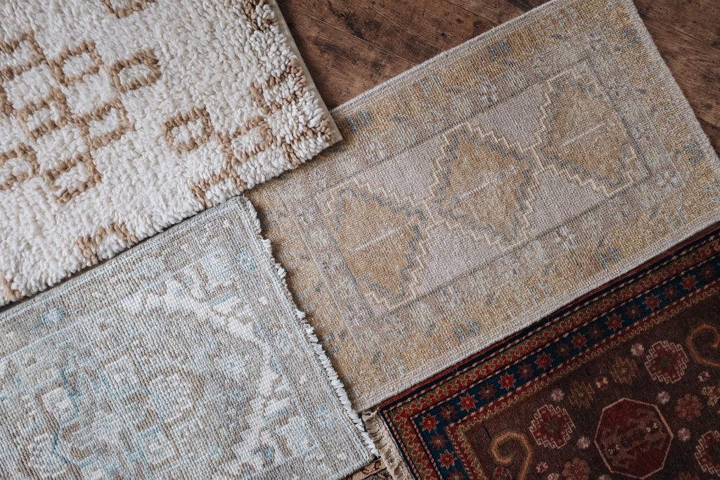 20251118-Sunshinephoto-unpetitpeu-63