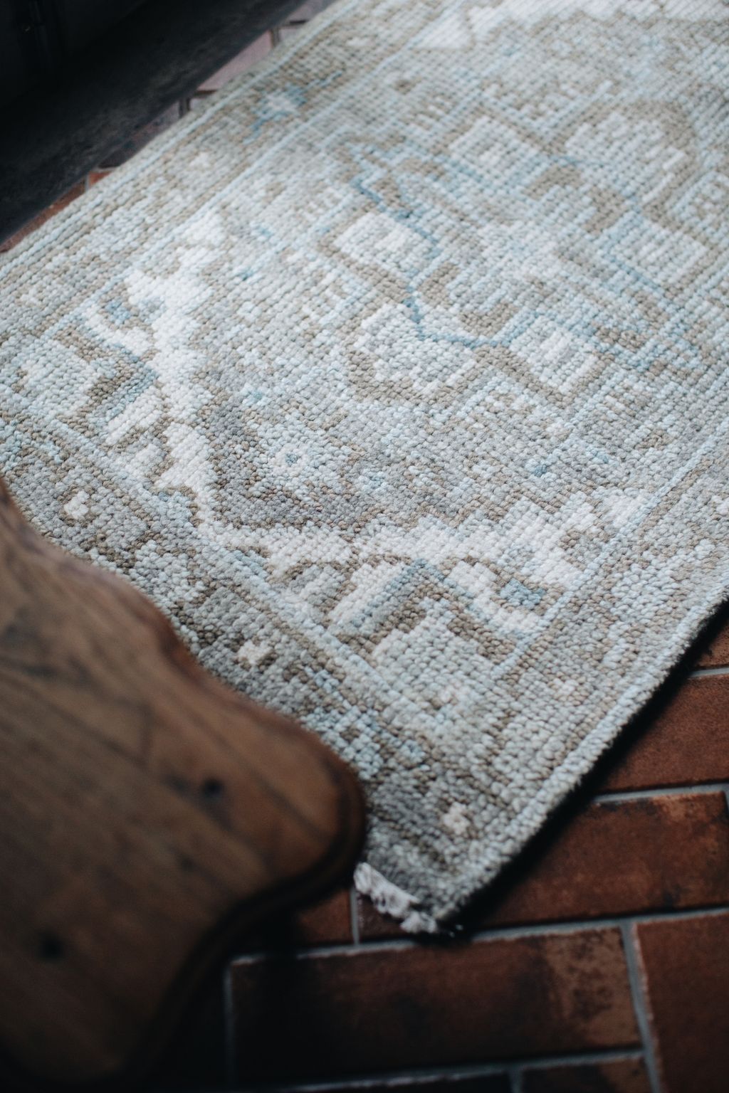 20251118-Sunshinephoto-unpetitpeu-45