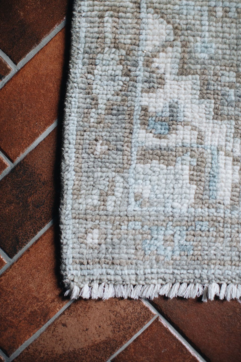 20251118-Sunshinephoto-unpetitpeu-44