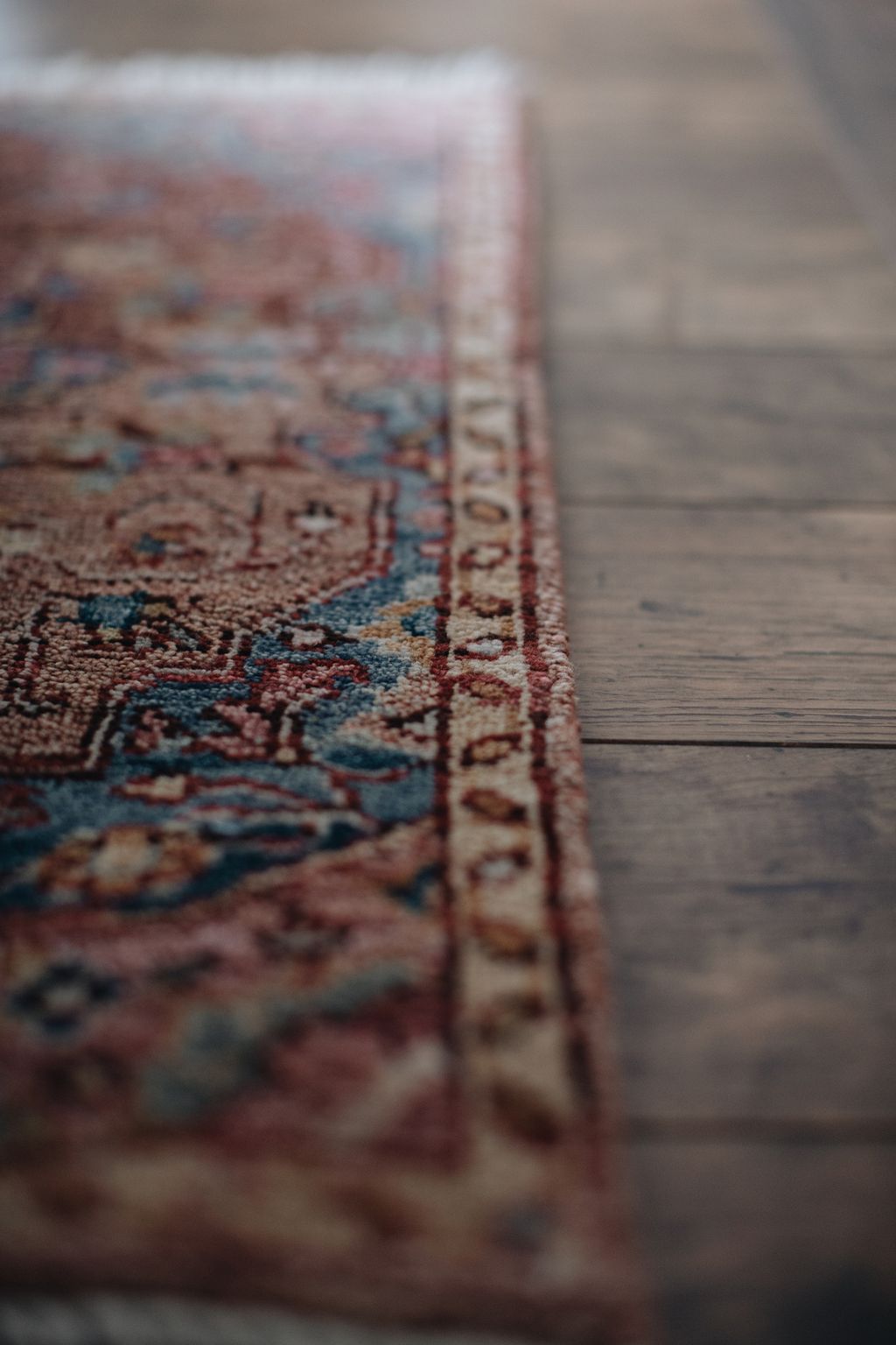 20251118-Sunshinephoto-unpetitpeu-31