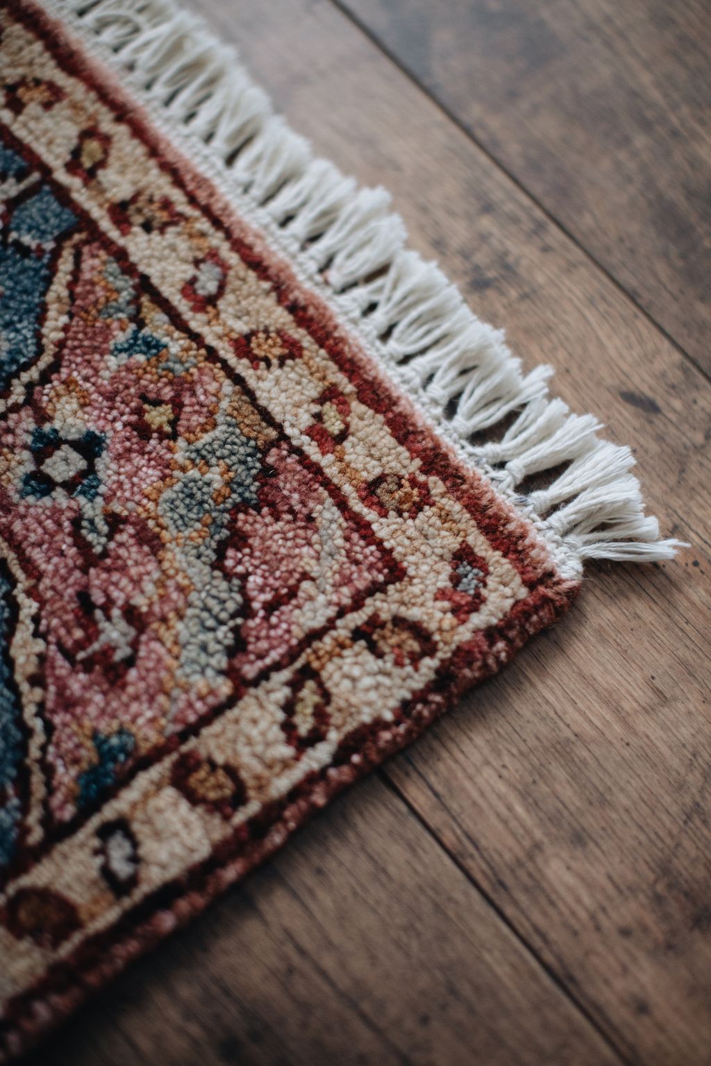 20251118-Sunshinephoto-unpetitpeu-29