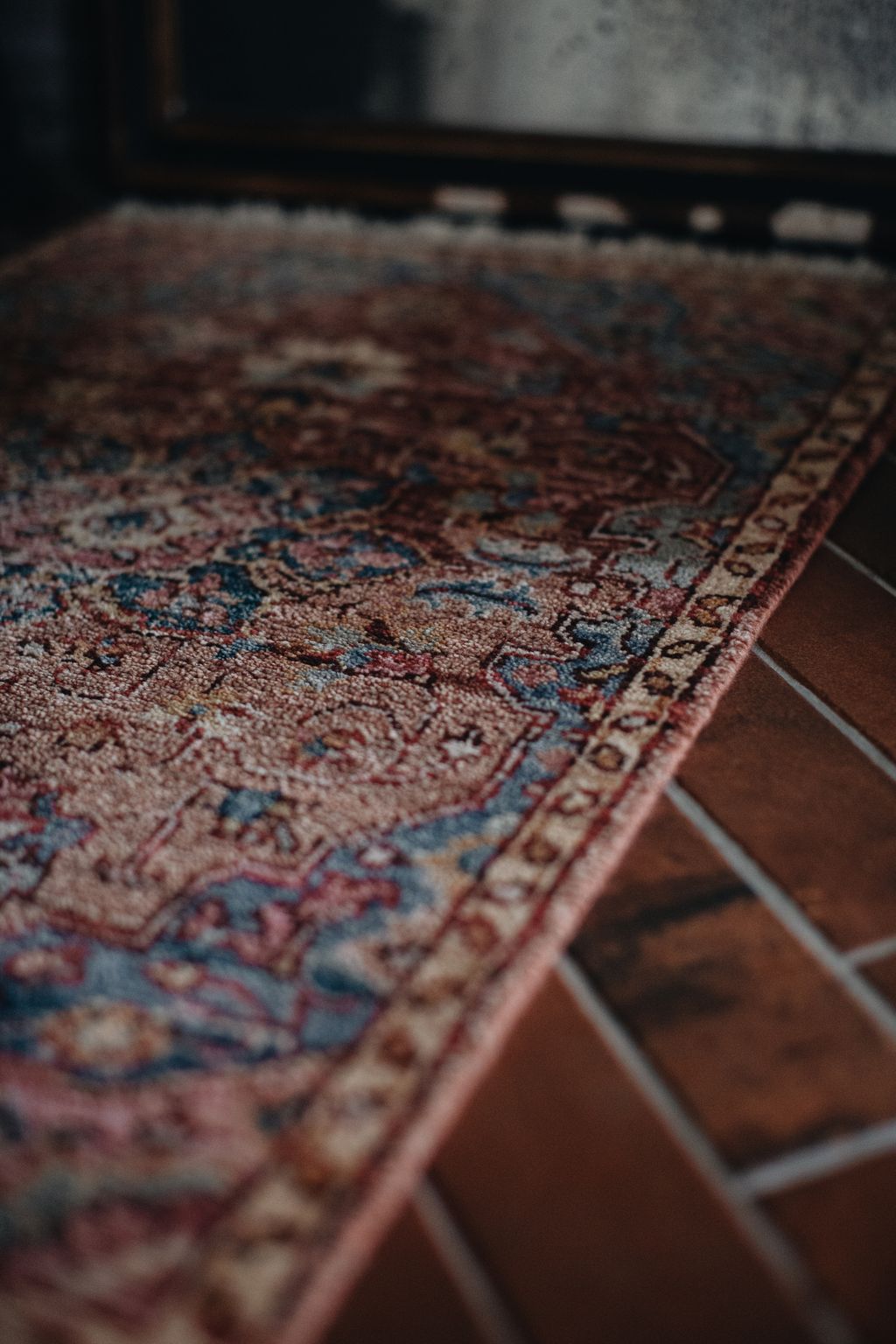 20251118-Sunshinephoto-unpetitpeu-19