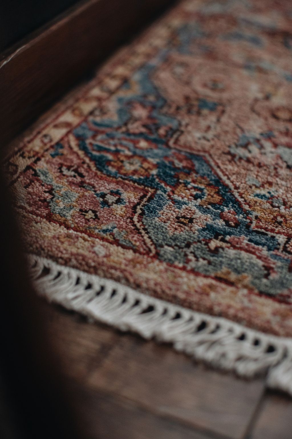 20251118-Sunshinephoto-unpetitpeu-30