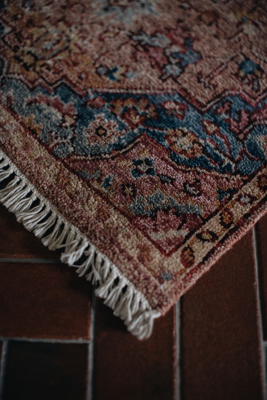 20251118-Sunshinephoto-unpetitpeu-21