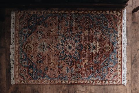 20251118-Sunshinephoto-unpetitpeu-28