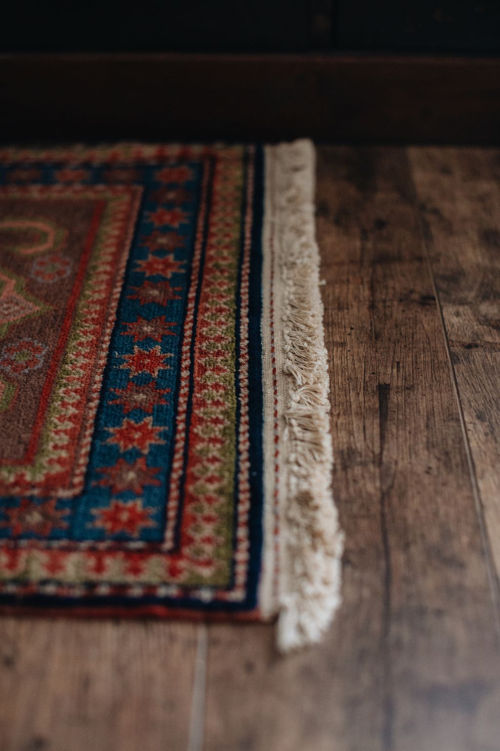 20251118-Sunshinephoto-unpetitpeu-54