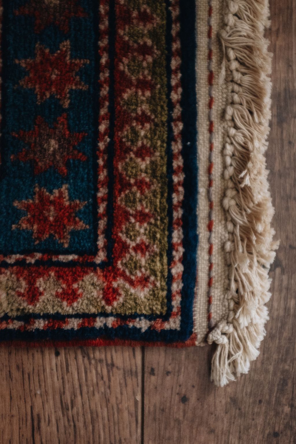 20251118-Sunshinephoto-unpetitpeu-58