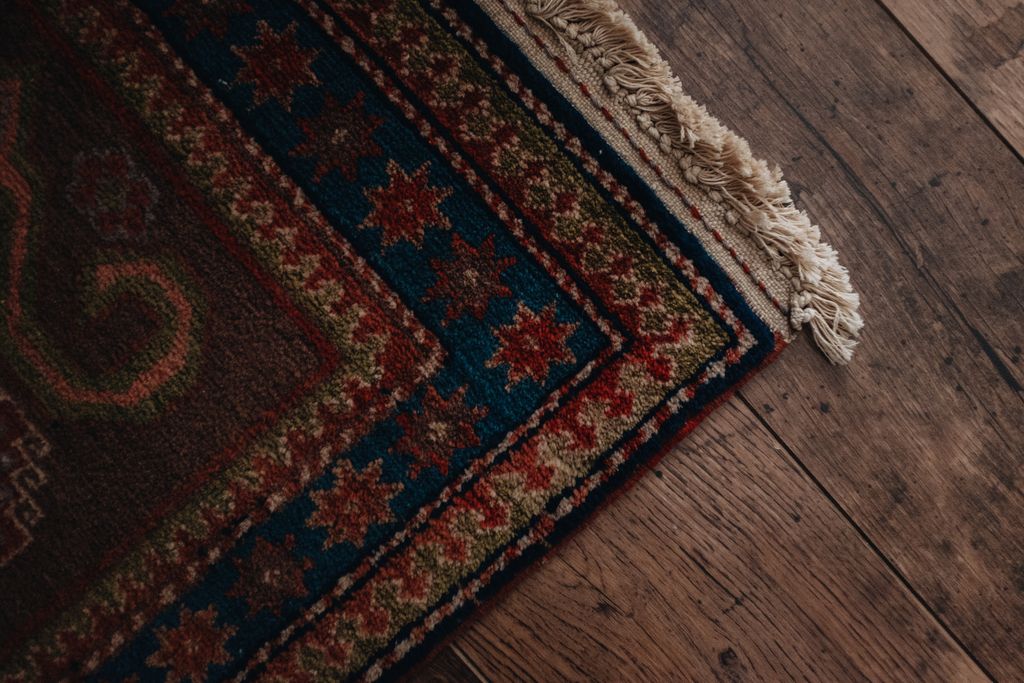 20251118-Sunshinephoto-unpetitpeu-57