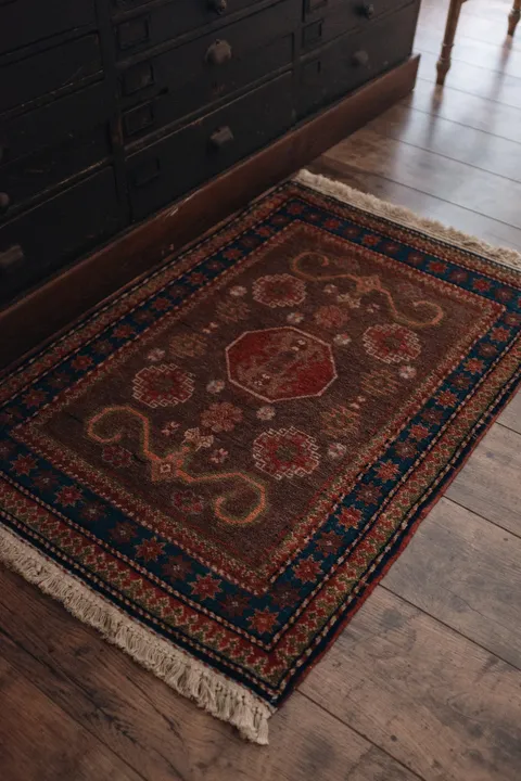 20251118-Sunshinephoto-unpetitpeu-61