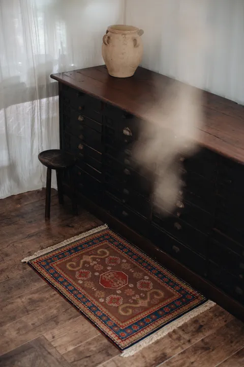 20251118-Sunshinephoto-unpetitpeu-73