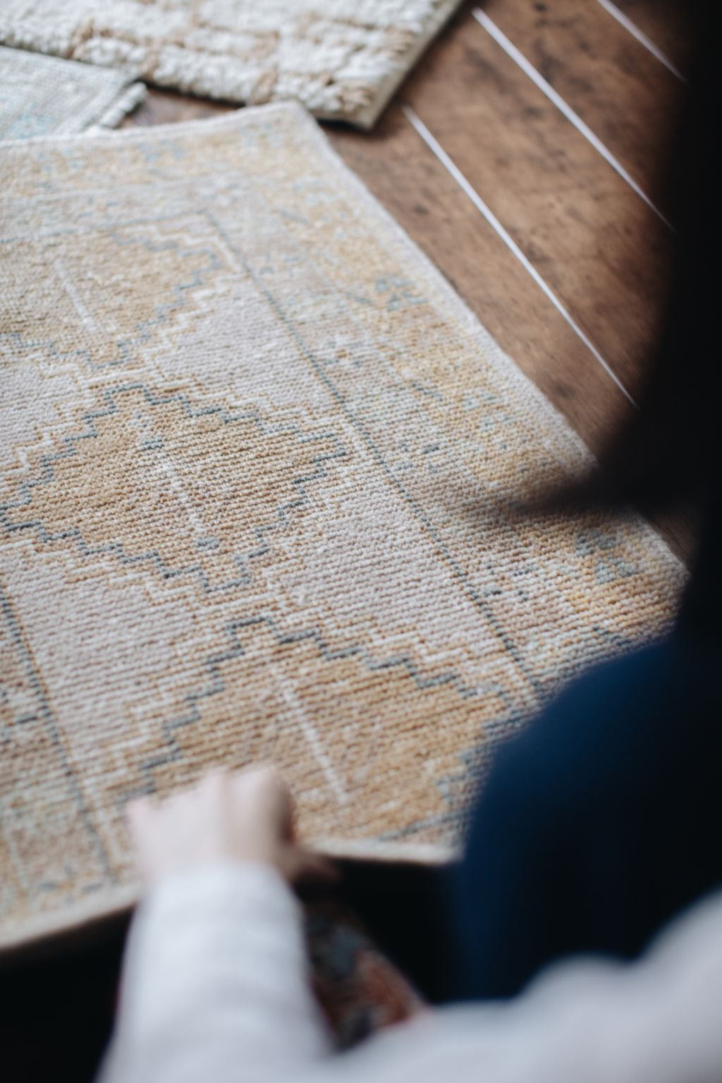 20251118-Sunshinephoto-unpetitpeu-75