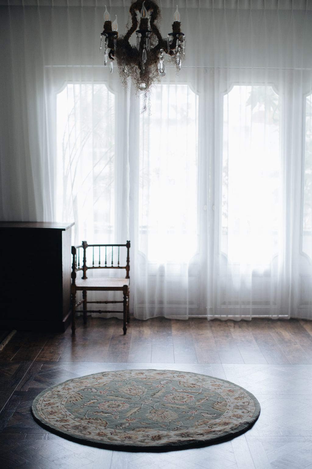 20251118-Sunshinephoto-unpetitpeu-91