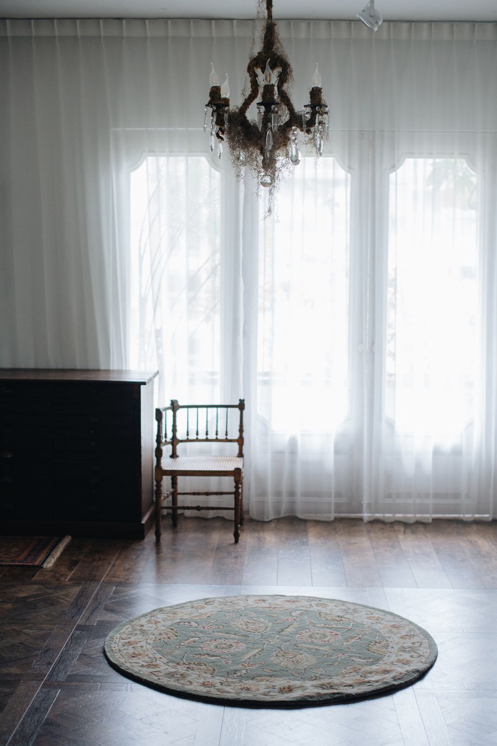 20251118-Sunshinephoto-unpetitpeu-92