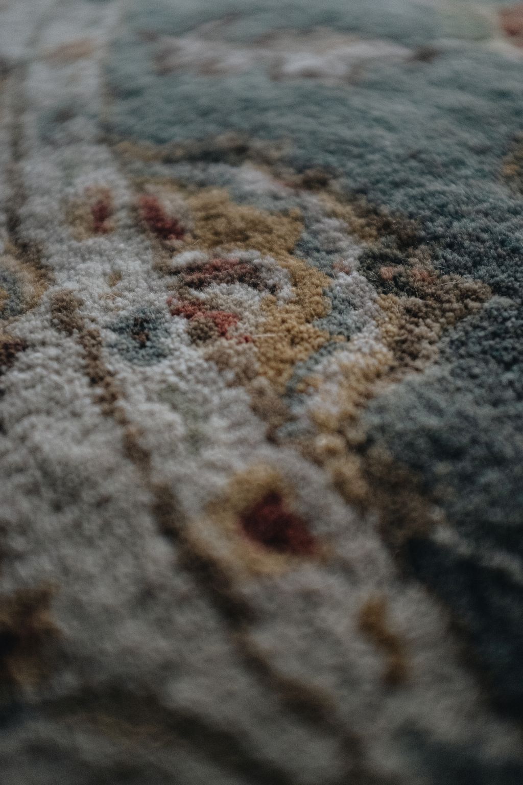 20251118-Sunshinephoto-unpetitpeu-88