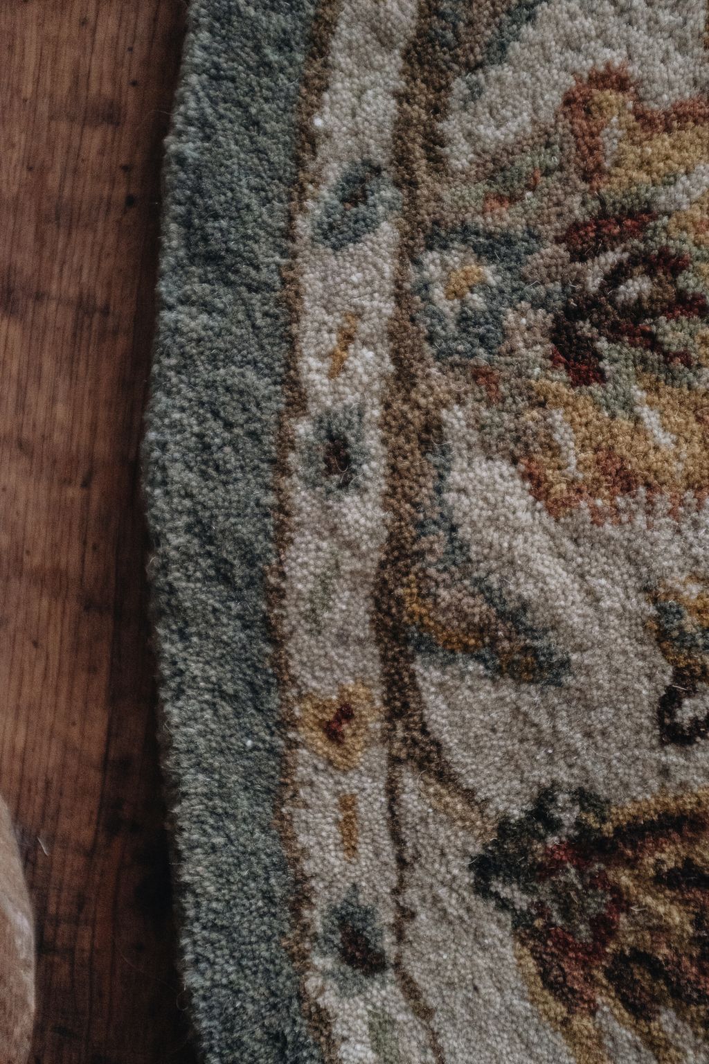 20251118-Sunshinephoto-unpetitpeu-90