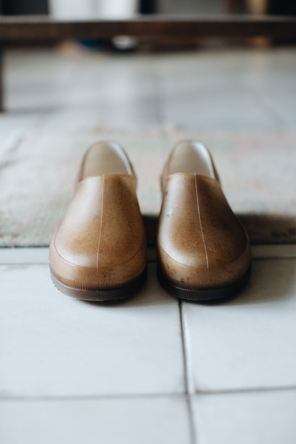 20260123-Sunshinephoto-34