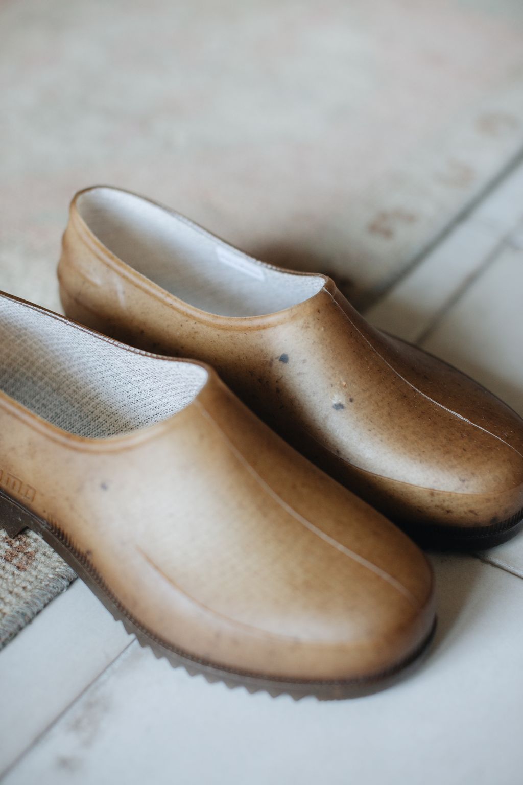 20260123-Sunshinephoto-31