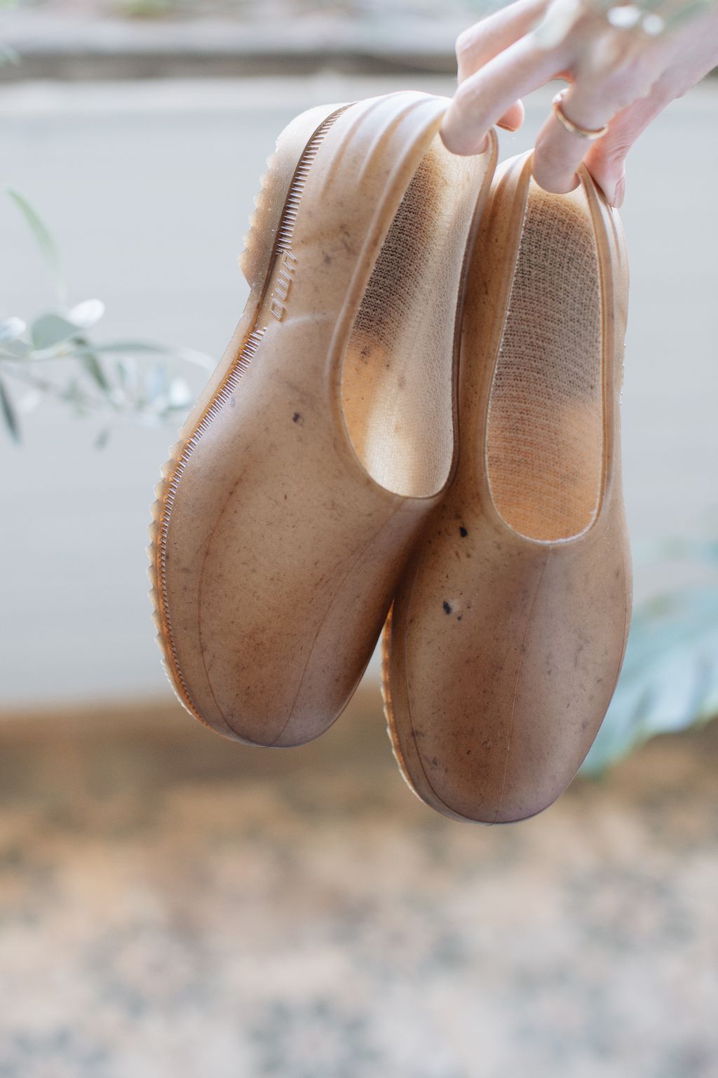 20260123-Sunshinephoto-49