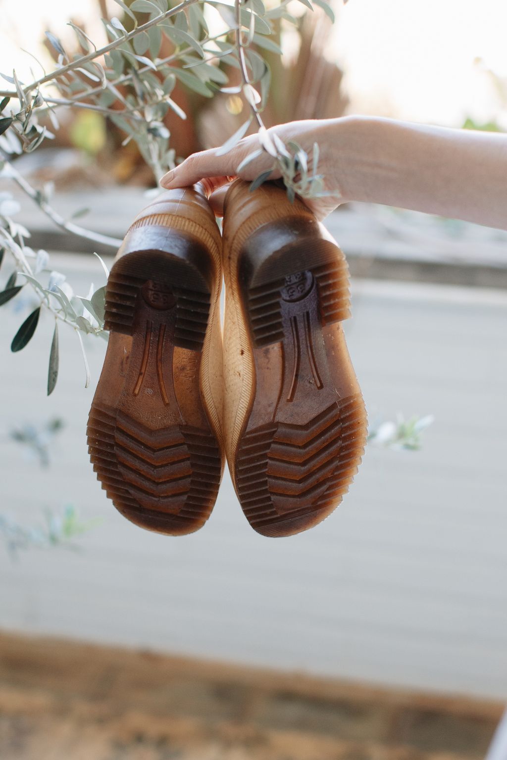 20260123-Sunshinephoto-46