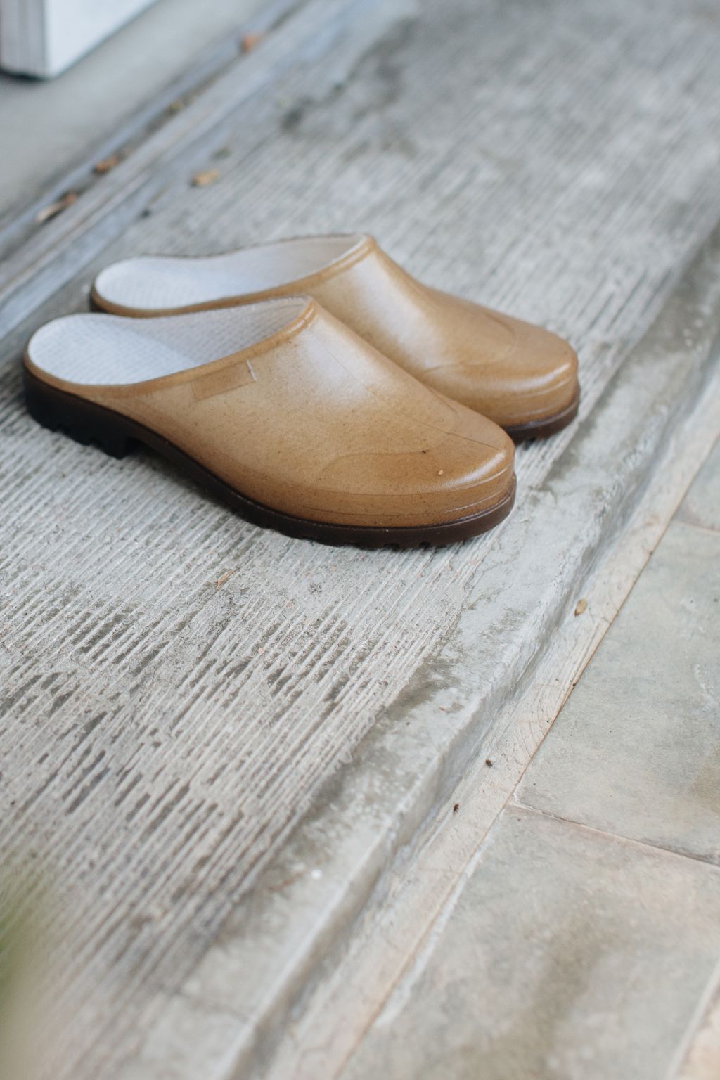 20260123-Sunshinephoto-123