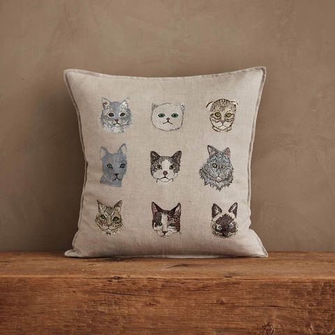 Coral_and_Tusk_Pillow_Cats_Primary