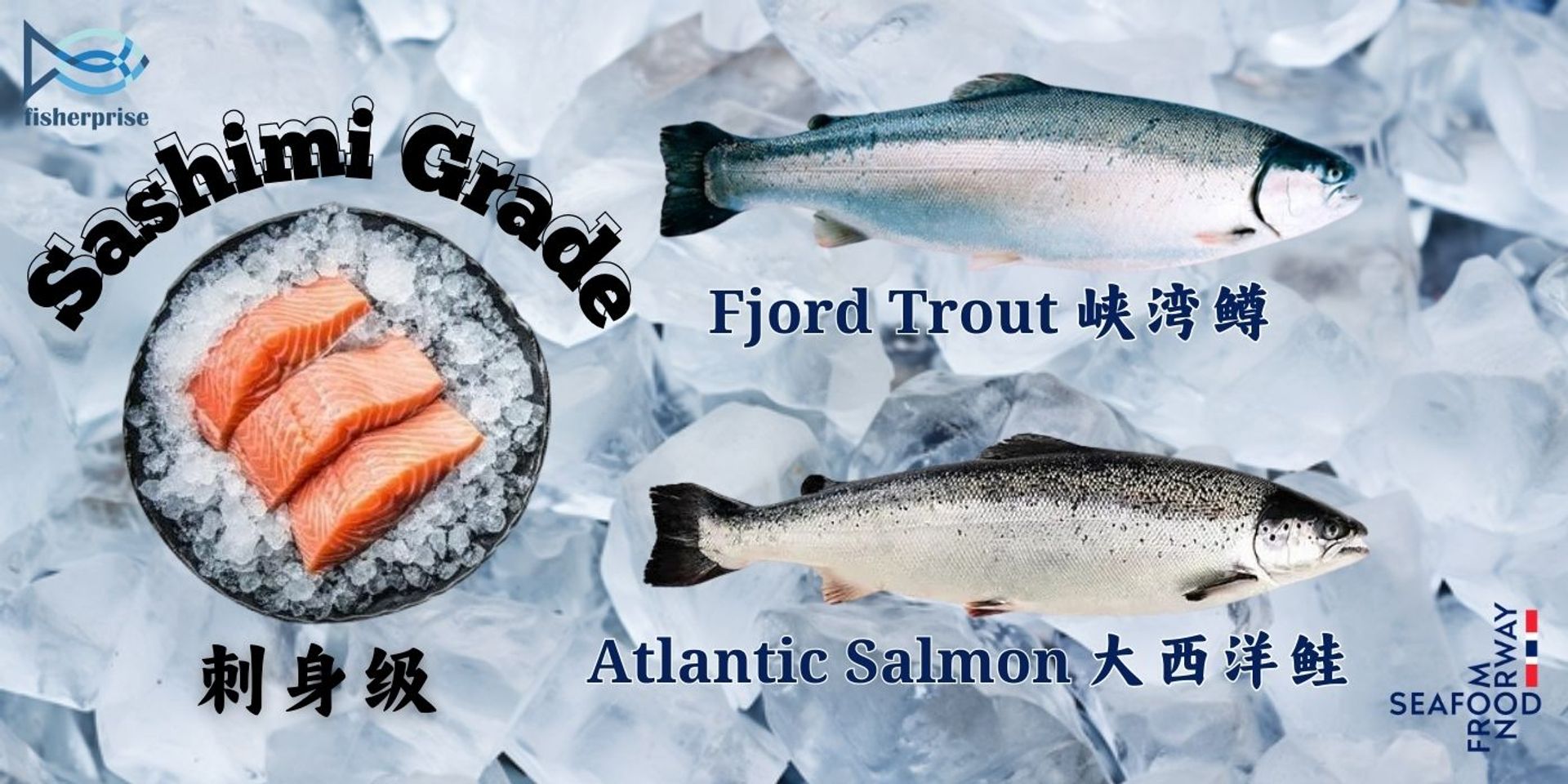 FISHERPRISE FROZEN SDN. BHD. | 