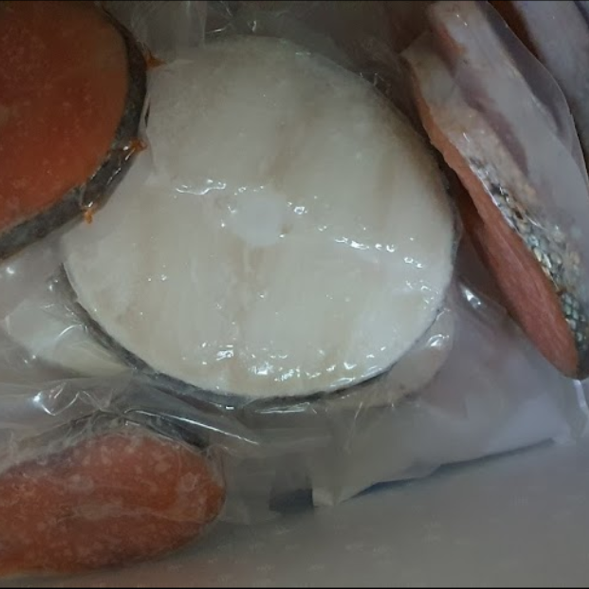 FISHERPRISE FROZEN SDN. BHD. - Chris Khoo