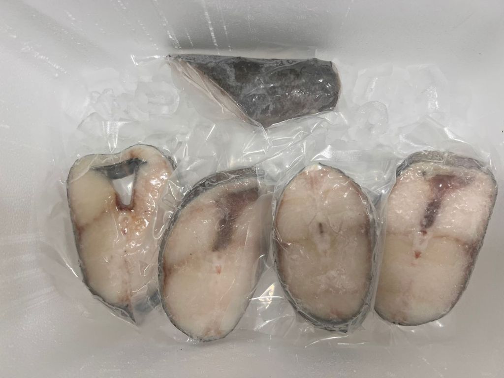 WhatsApp Image 2026-03-09 at 5.27.57 PM