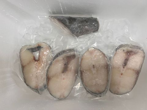 WhatsApp Image 2026-03-09 at 5.27.57 PM