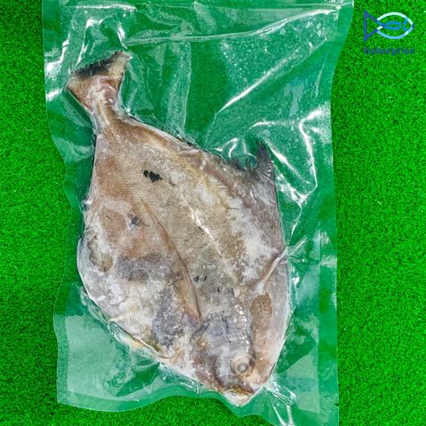 Black Pomfret 黑鲳鱼 (Net Chute/放网抓捕）