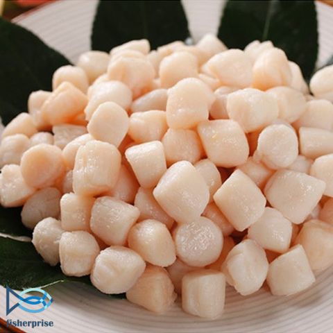 Hokkaido White Scallop Meat 北海道带子