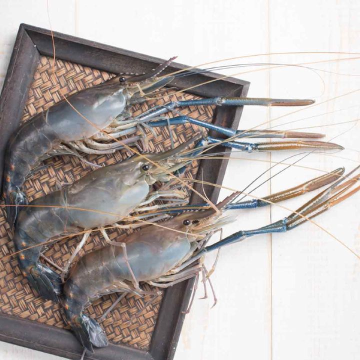 Frozen Scampi U5 大头虾 (200~300g)
