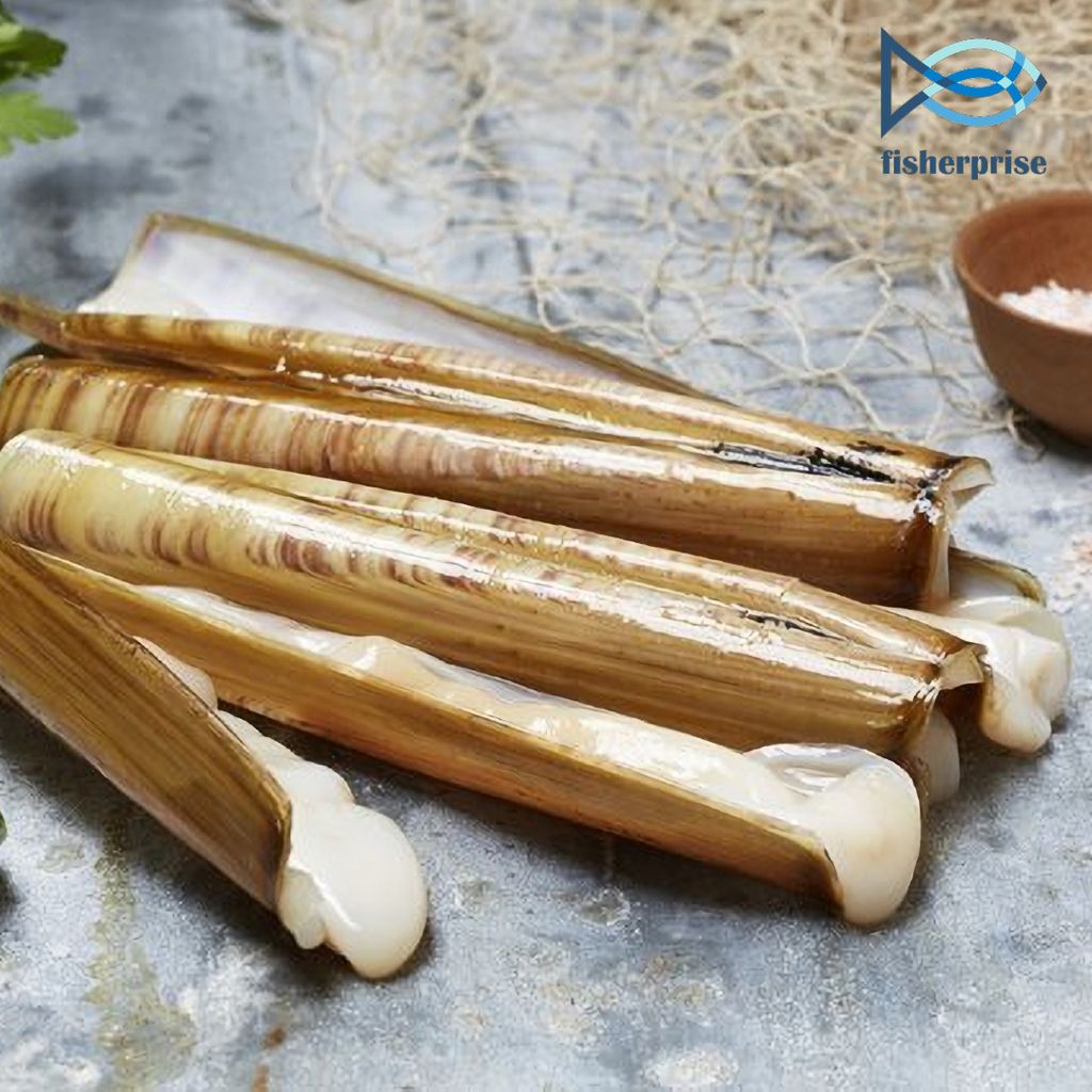 Frozen Razor Clam 竹摊 (1kg) Siput Buloh