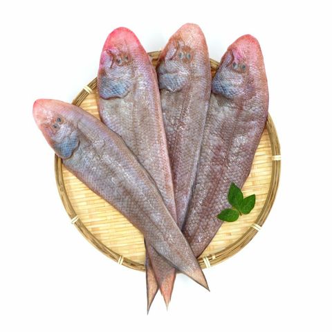 Tongue Fish 龙舌鱼 (1kg±) Ikan Lidah